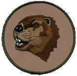 Colorful embroidered 5-1/2 inch round Beaver patch mascot collectible